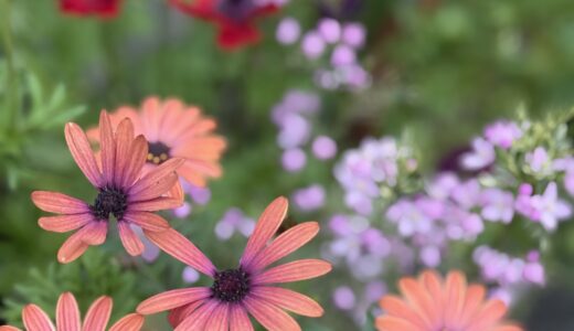 ゴールデンウィークのRAKURU